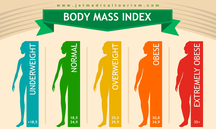 Body Mass Index